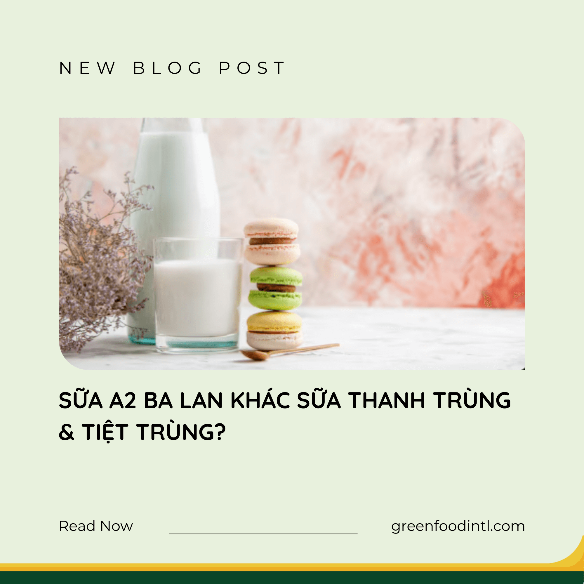 SỮA A2 BA LAN KHÁC SỮA THANH TRÙNG & TIỆT TRÙNG?