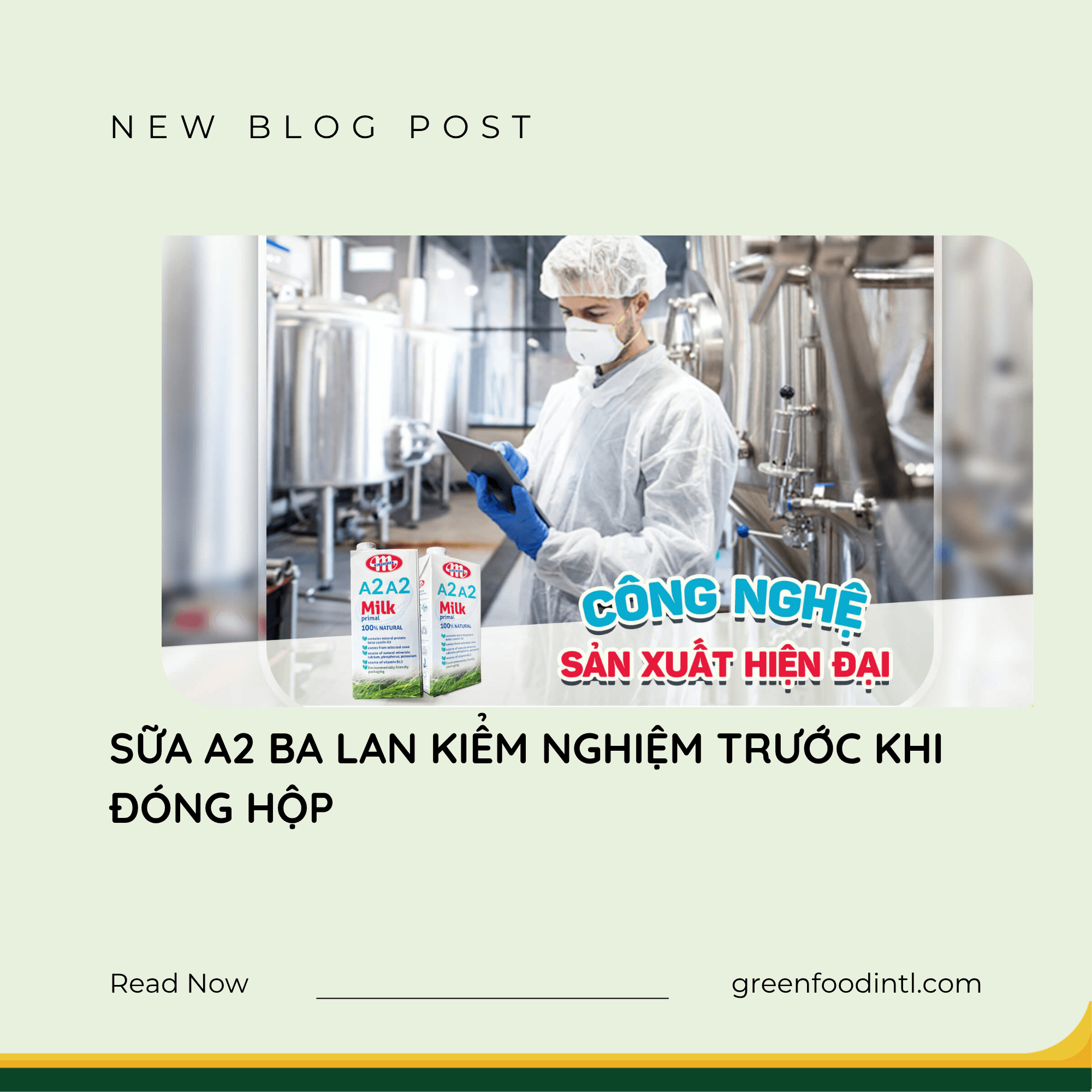 SỮA A2 BA LAN KIỂM NGHIỆM TRƯỚC KHI ĐÓNG HỘP