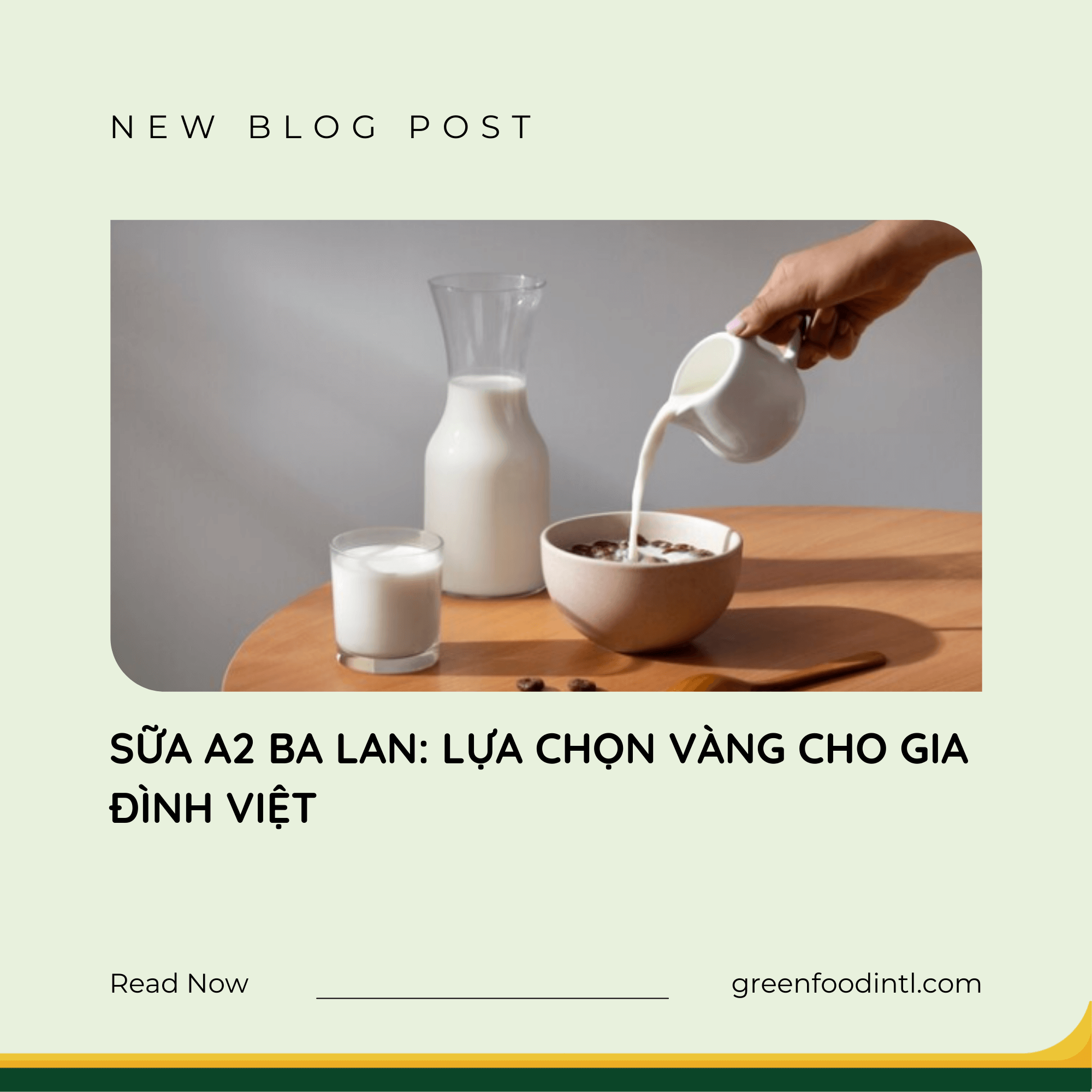 SỮA A2 BA LAN: LỰA CHỌN VÀNG CHO GIA ĐÌNH VIỆT