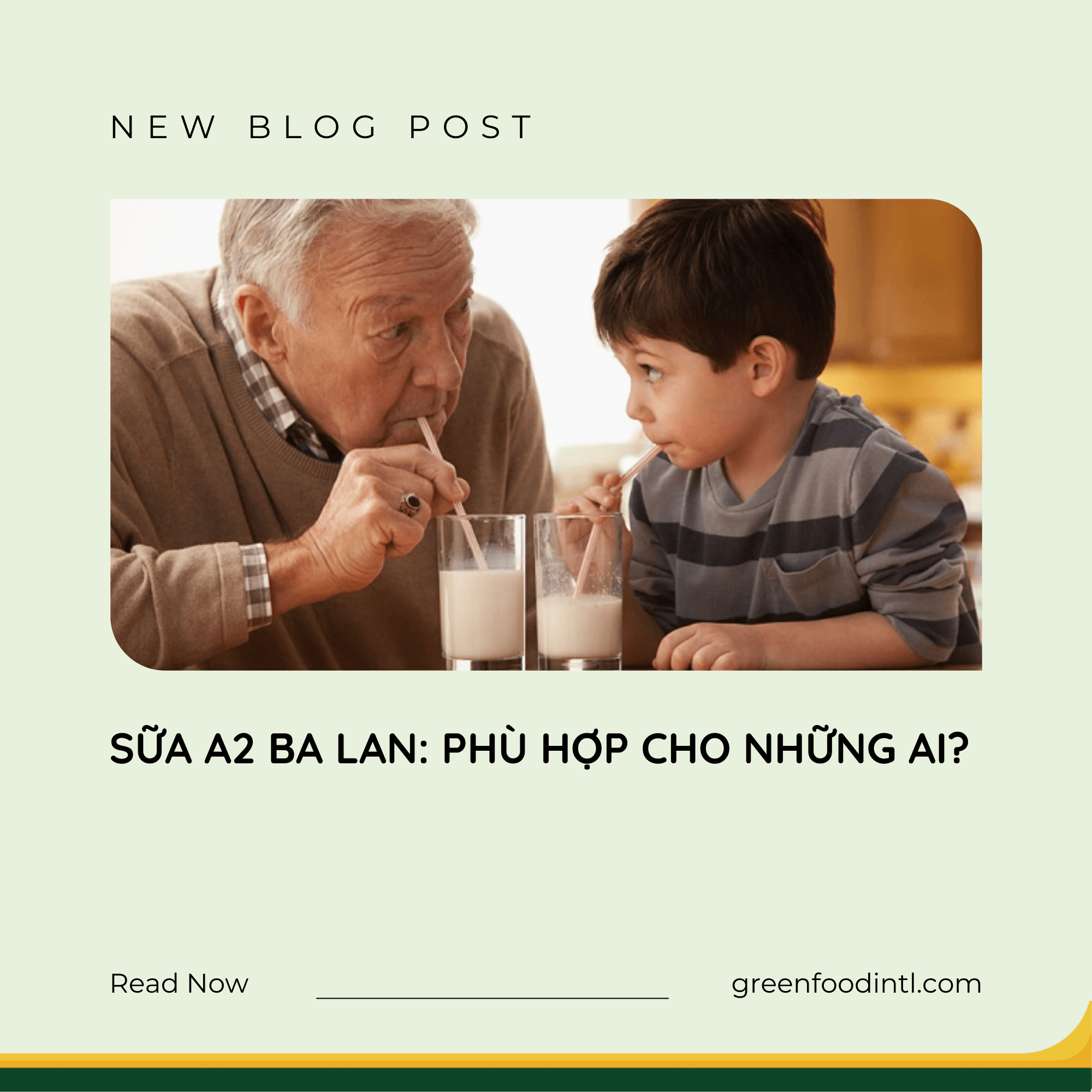 SỮA A2 BA LAN PHÙ HỢP CHO NHỮNG AI?
