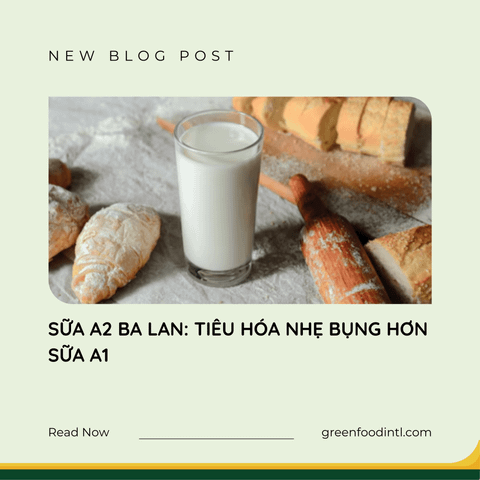 SỮA A2 BA LAN: TIÊU HÓA NHẸ BỤNG HƠN SỮA A1