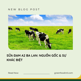 SỮA ĐẠM A2 BA LAN: NGUỒN GỐC & SỰ KHÁC BIỆT