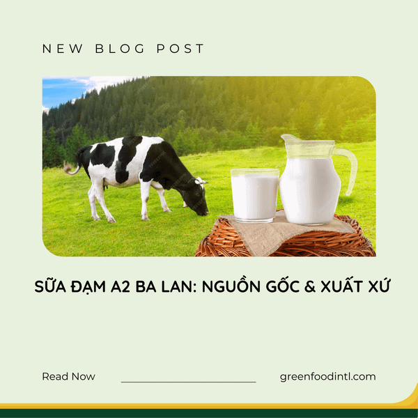 SỮA A2 BA LAN: NGUỒN GỐC & XUẤT XỨ
