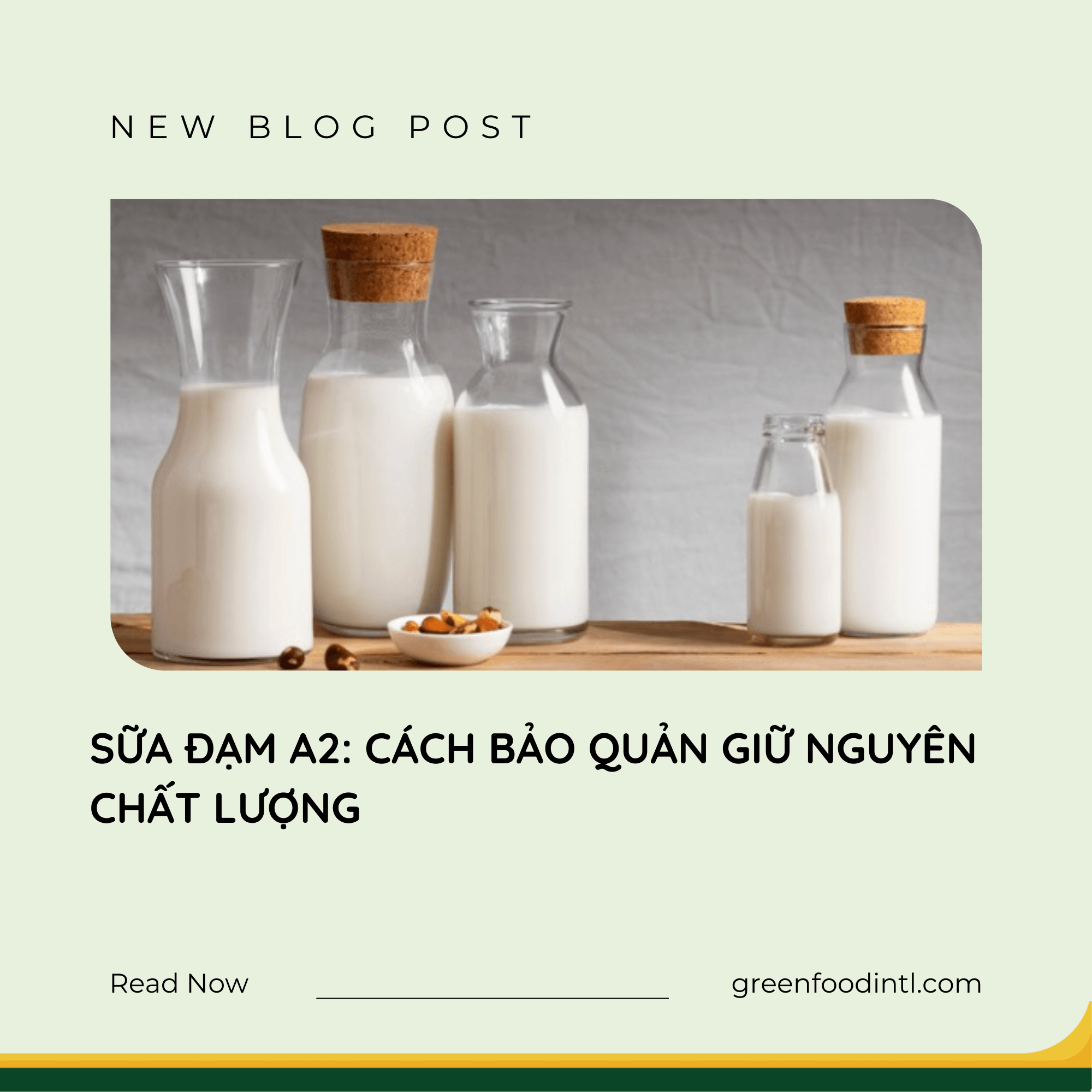 SỮA ĐẠM A2: CÁCH BẢO QUẢN GIỮ NGUYÊN CHẤT LƯỢNG