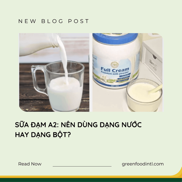 SỮA ĐẠM A2: NÊN DÙNG DẠNG NƯỚC HAY DẠNG BỘT?
