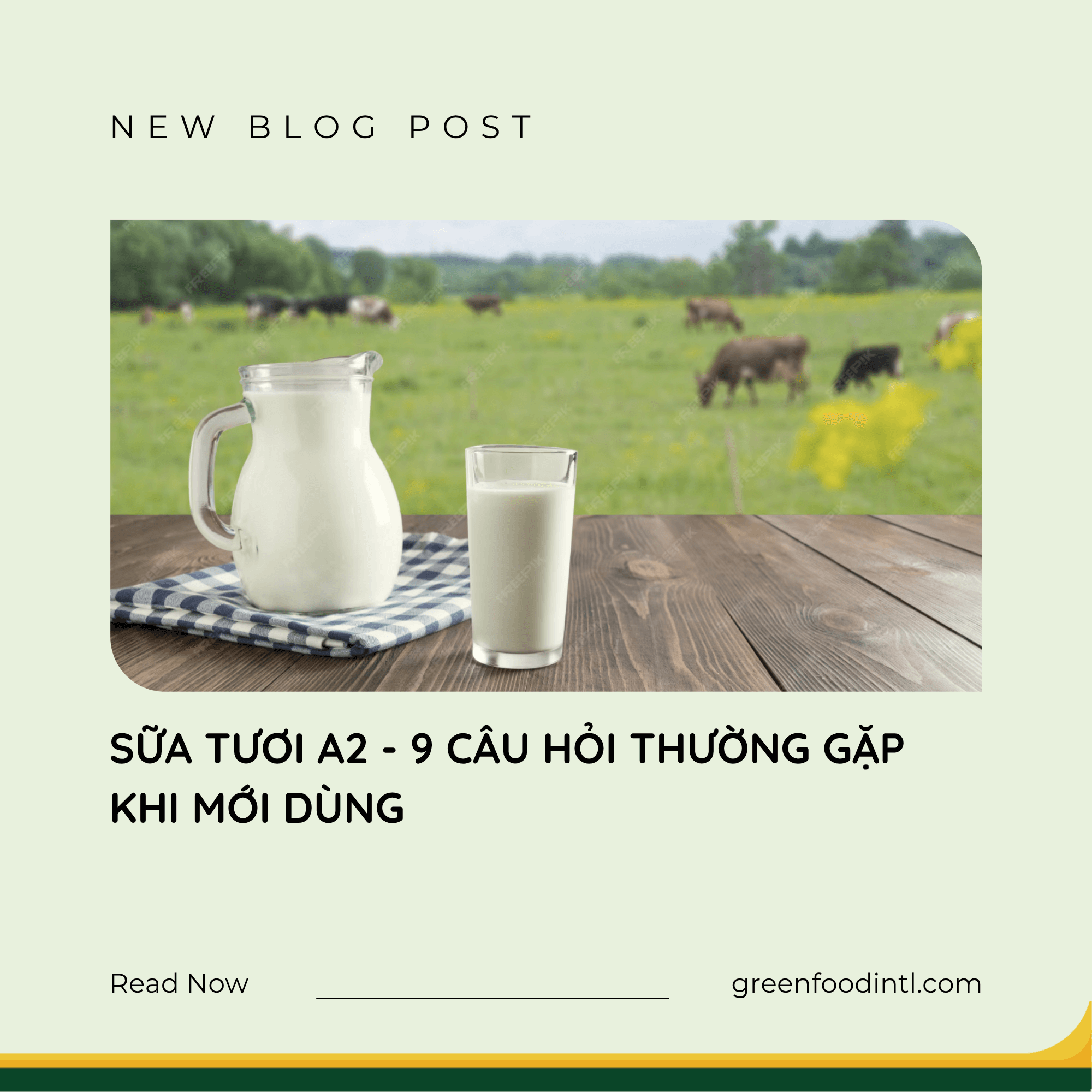 SỮA TƯƠI A2 - 9 CÂU HỎI THƯỜNG GẶP KHI MỚI DÙNG