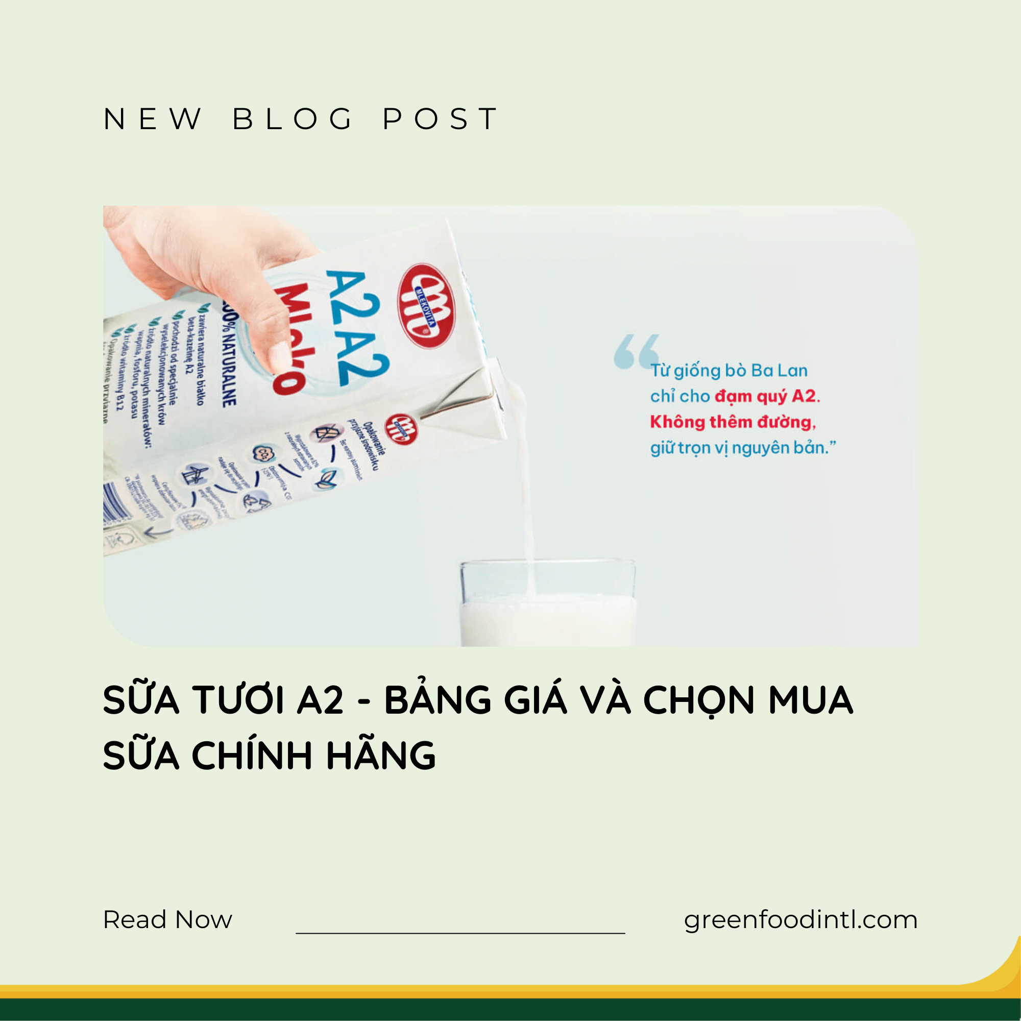 SỮA TƯƠI A2 - BẢNG GIÁ VÀ CHỌN MUA SỮA CHÍNH HÃNG