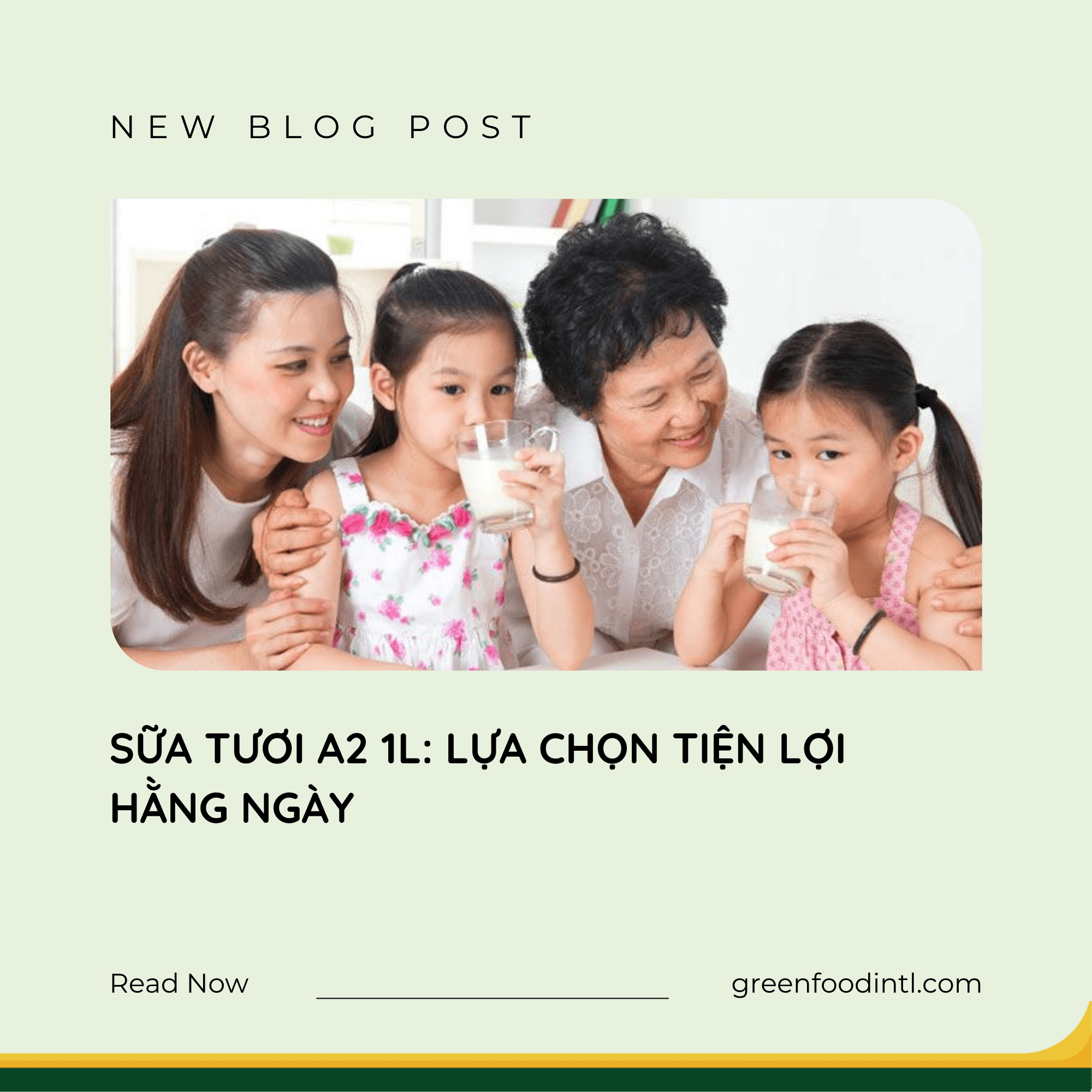 SỮA TƯƠI A2 1L: LỰA CHỌN TIỆN LỢI HẰNG NGÀY