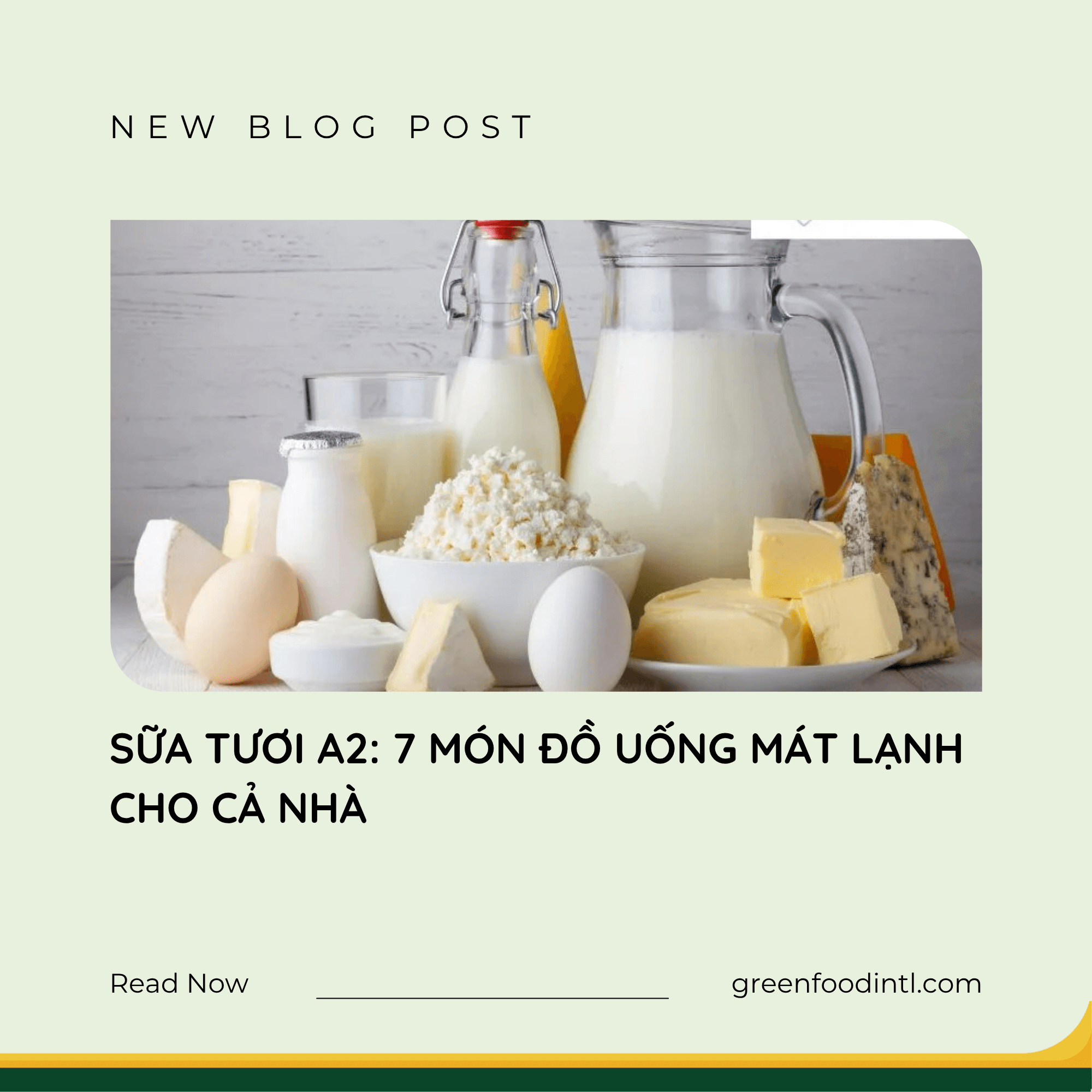 SỮA TƯƠI A2: 7 MÓN ĐỒ UỐNG MÁT LẠNH CHO CẢ NHÀ