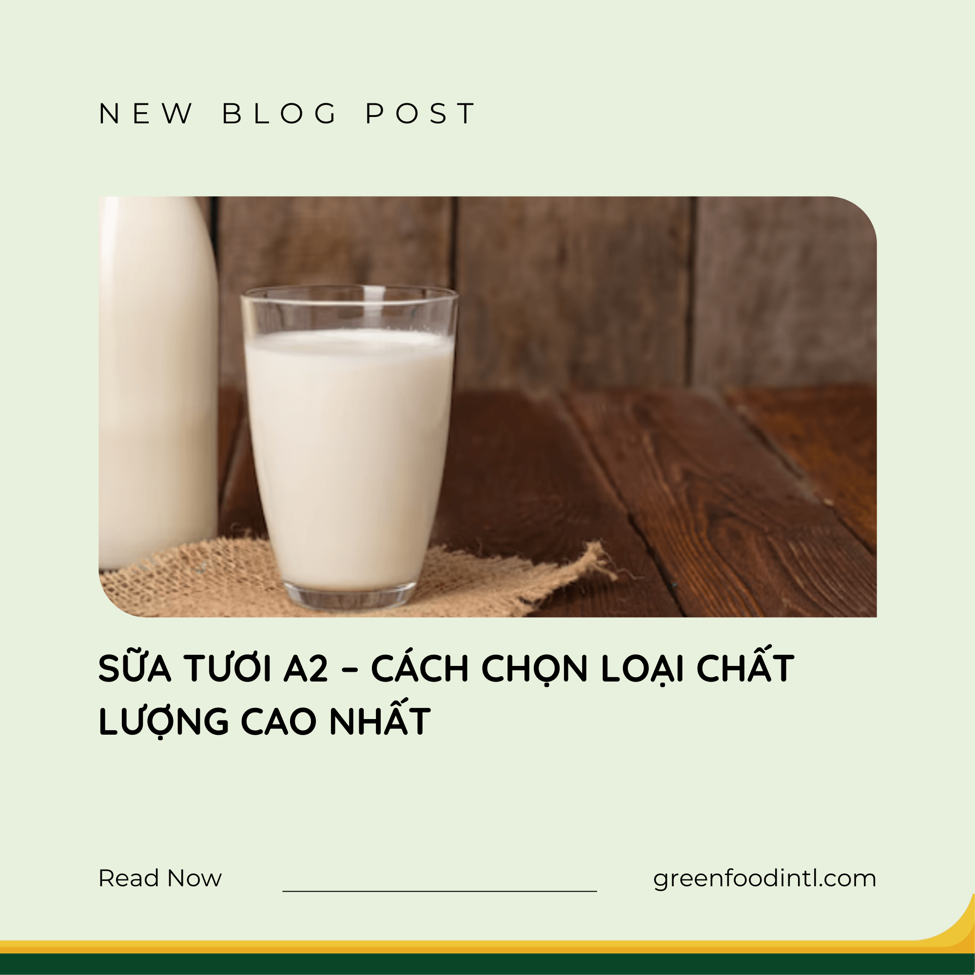 SỮA TƯƠI A2 – CÁCH CHỌN LOẠI CHẤT LƯỢNG CAO NHẤT