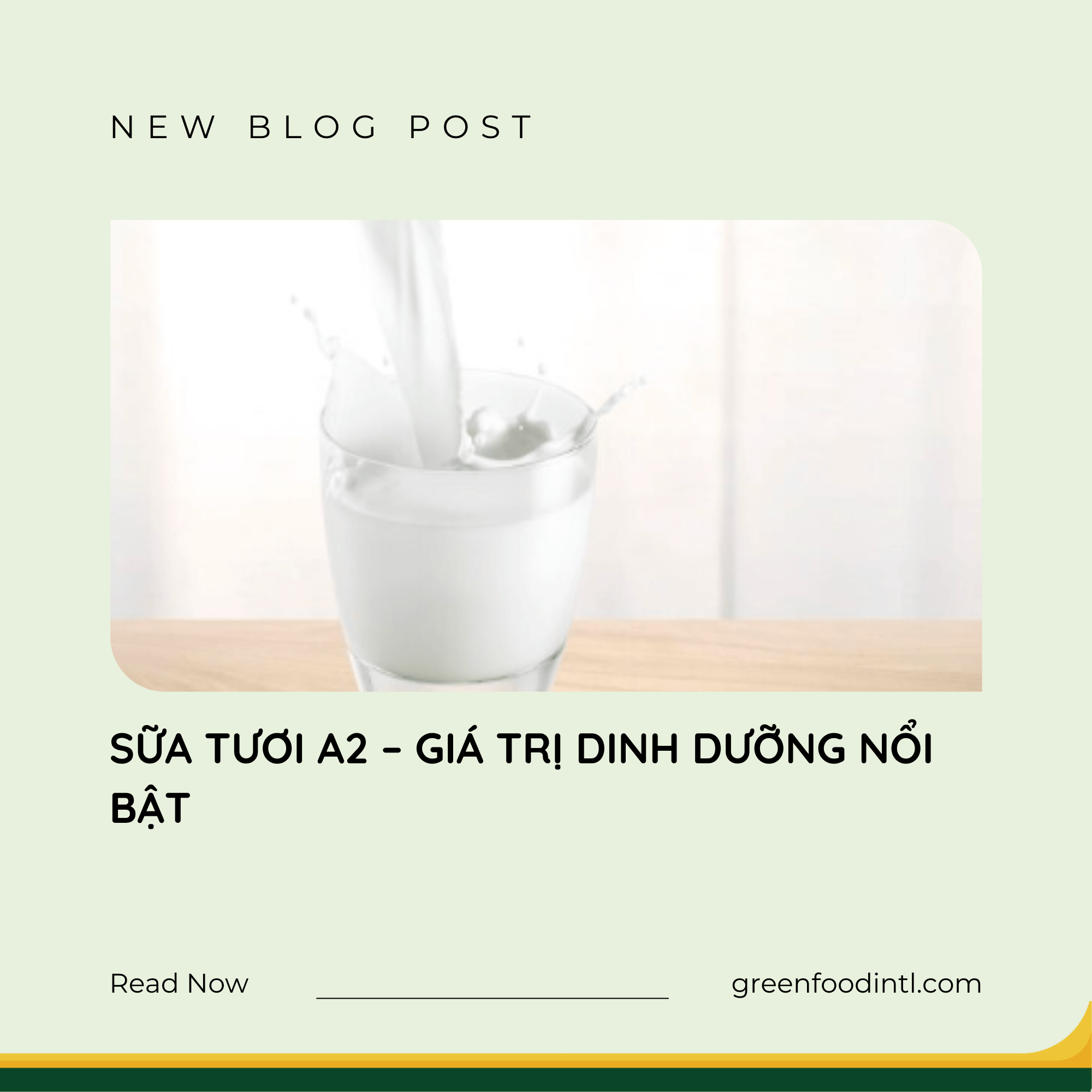 SỮA TƯƠI A2 – GIÁ TRỊ DINH DƯỠNG NỔI BẬT