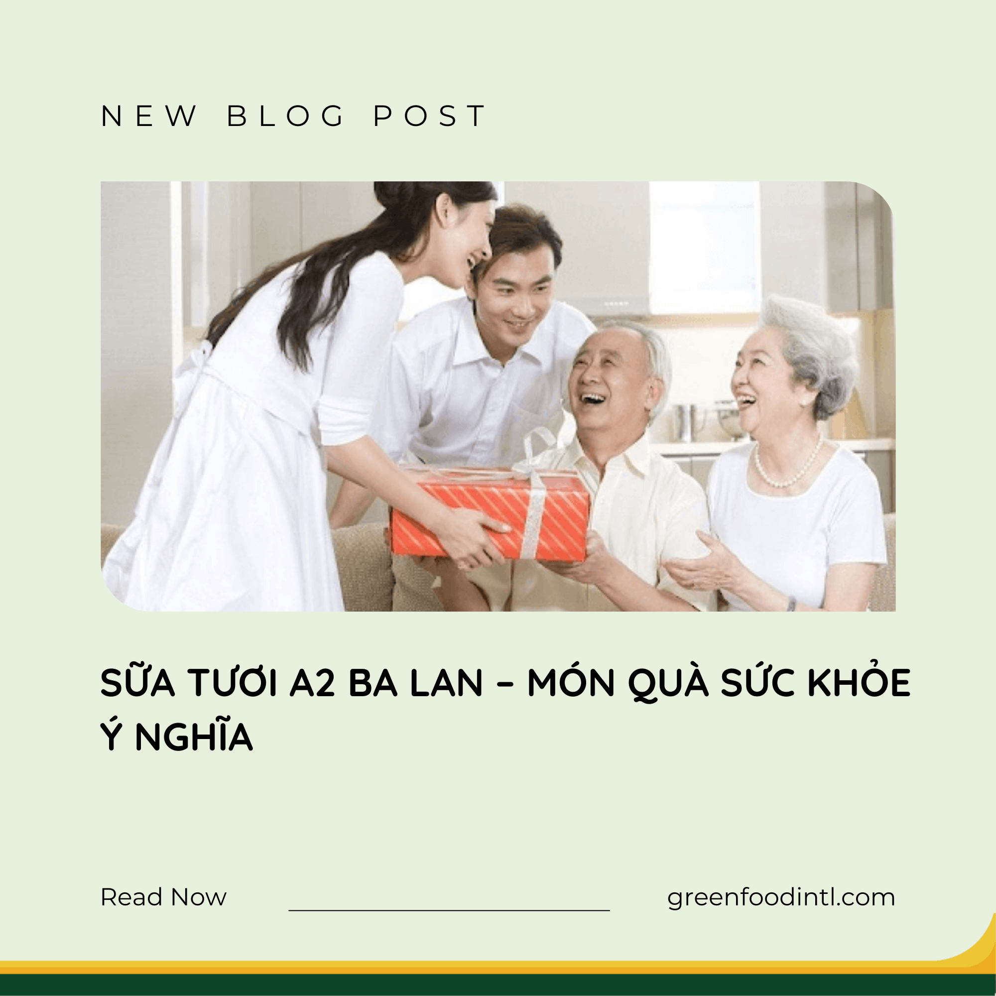SỮA A2 BA LAN – MÓN QUÀ SỨC KHỎE Ý NGHĨA