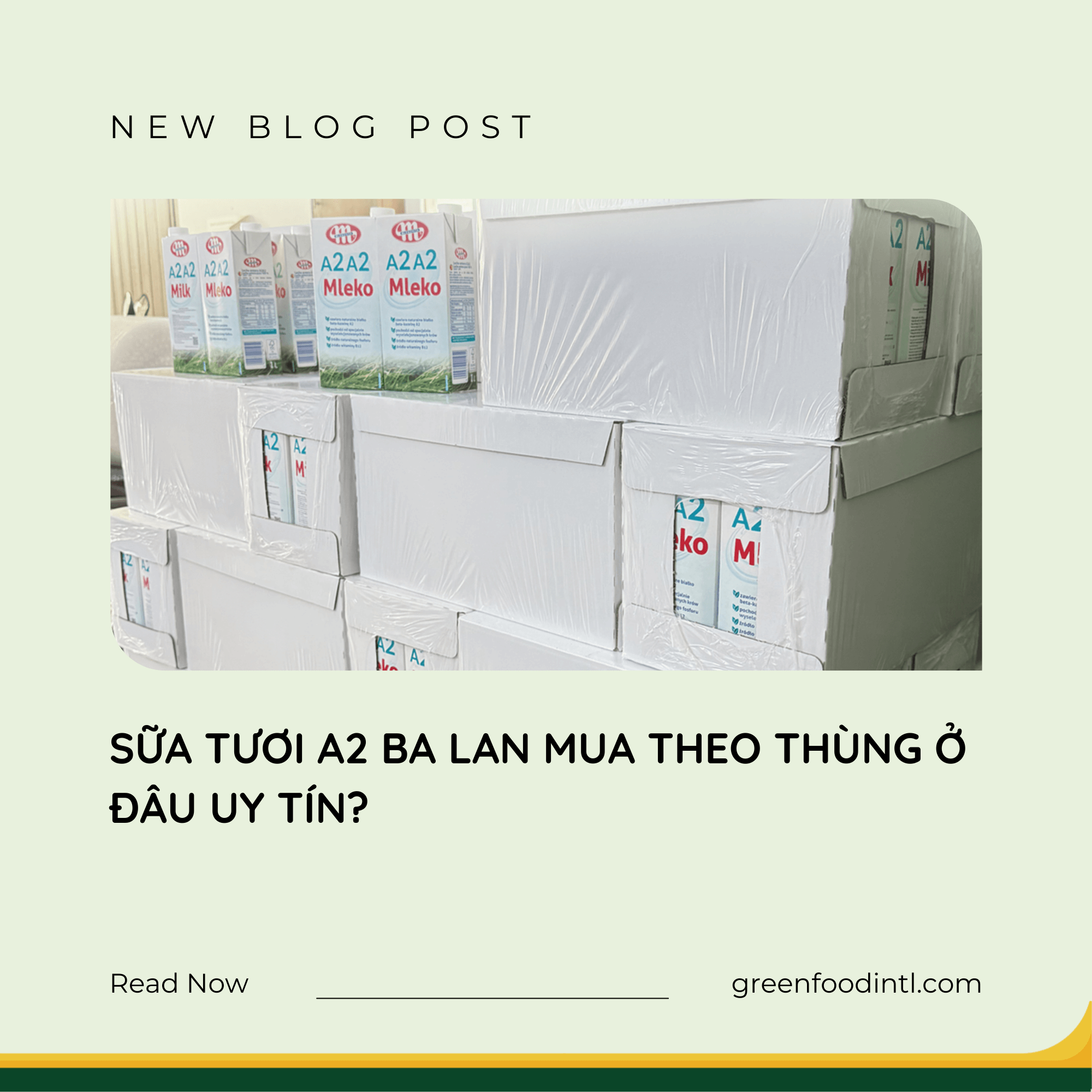 SỮA TƯƠI A2 BA LAN MUA THEO THÙNG Ở ĐÂU UY TÍN?