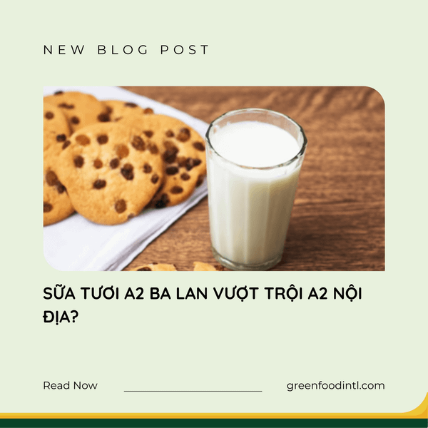 SỮA TƯƠI A2 BA LAN VƯỢT TRỘI A2 NỘI ĐỊA?
