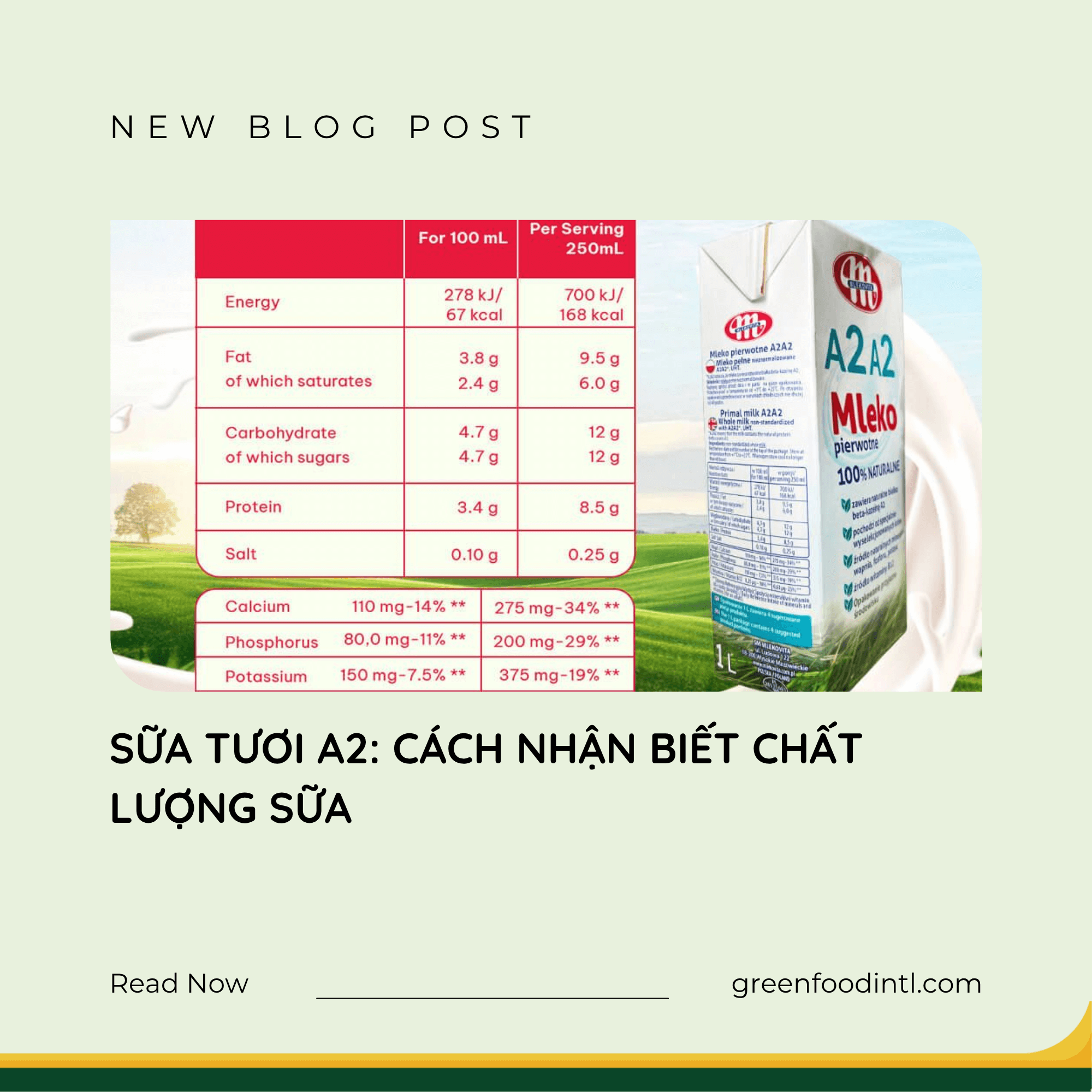 SỮA TƯƠI A2: CÁCH NHẬN BIẾT CHẤT LƯỢNG SỮA