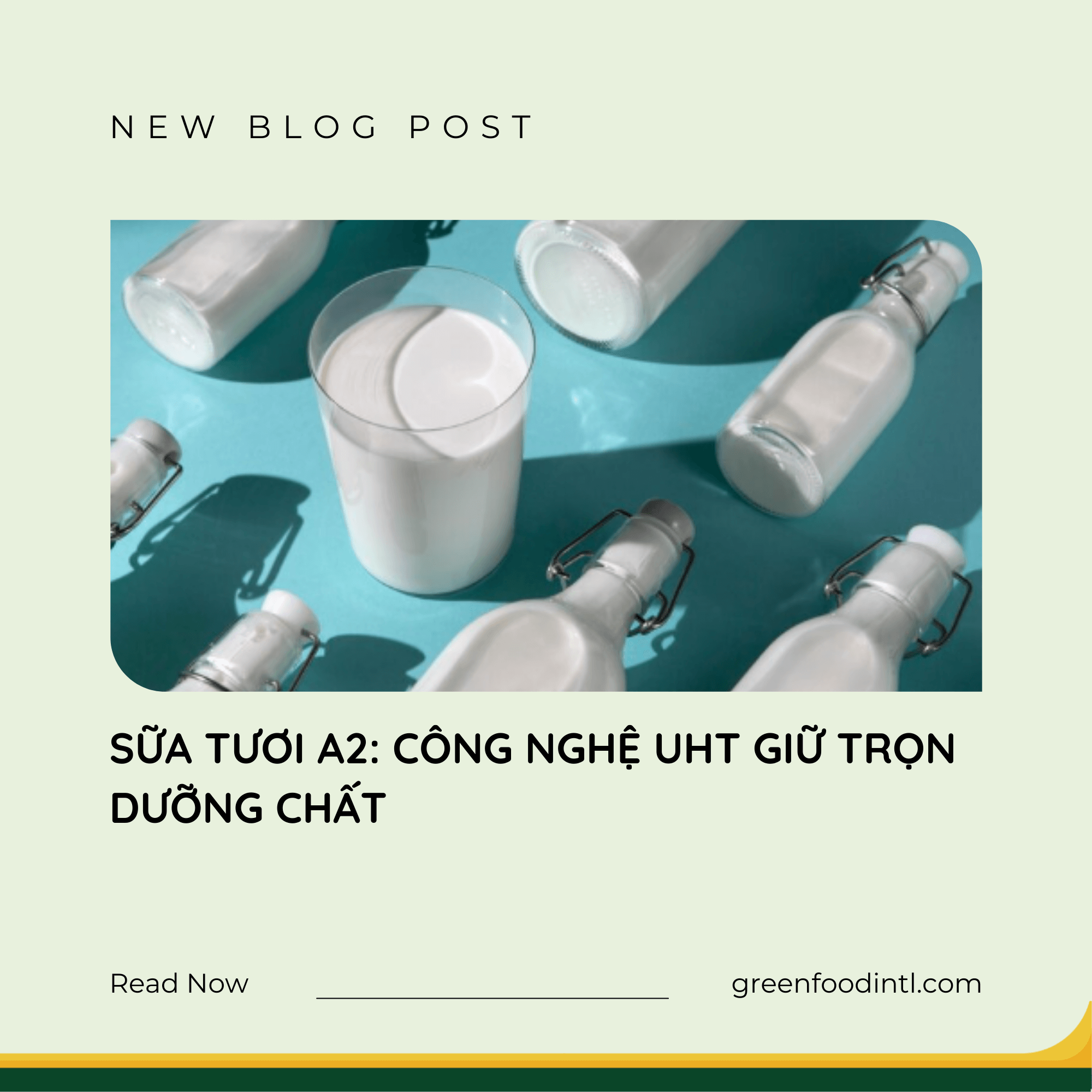 SỮA TƯƠI A2: CÔNG NGHỆ UHT GIỮ TRỌN DƯỠNG CHẤT