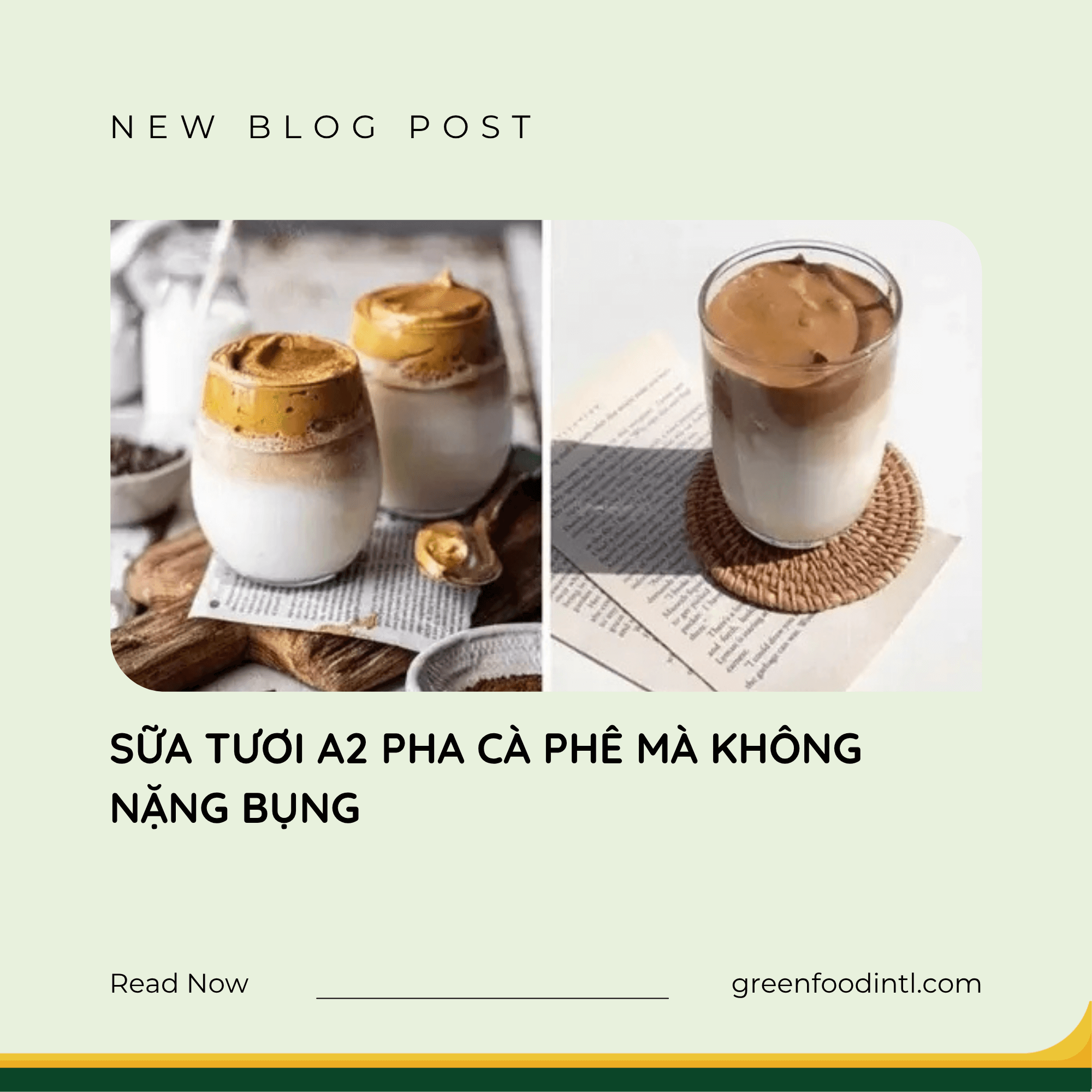 SỮA TƯƠI A2 PHA CÀ PHÊ MÀ KHÔNG NẶNG BỤNG
