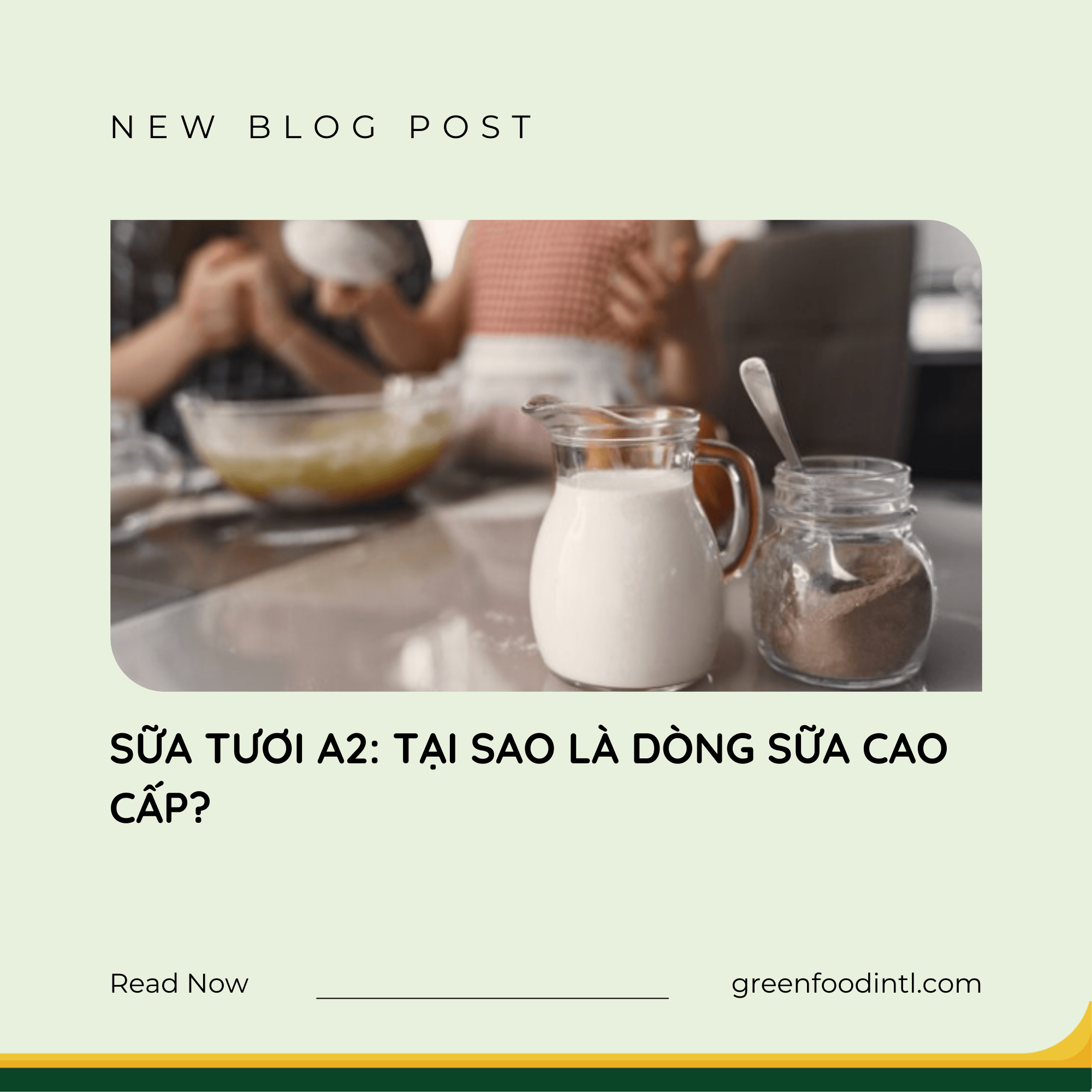 SỮA TƯƠI A2: TẠI SAO LÀ DÒNG SỮA CAO CẤP?