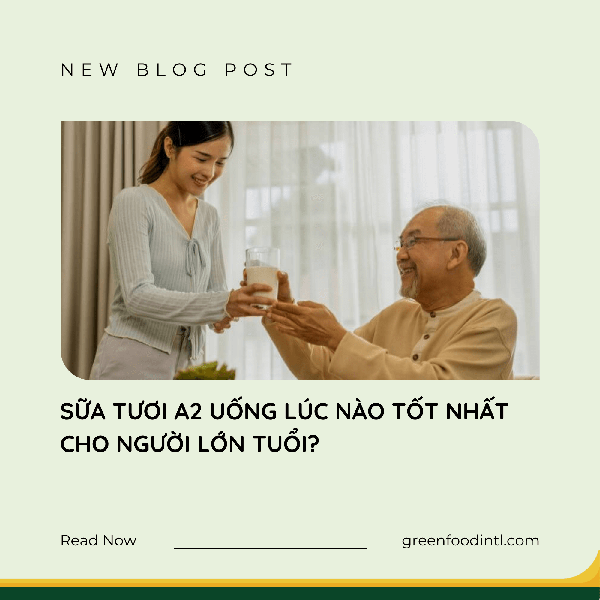 SỮA TƯƠI A2 UỐNG LÚC NÀO TỐT NHẤT CHO NGƯỜI LỚN TUỔI?