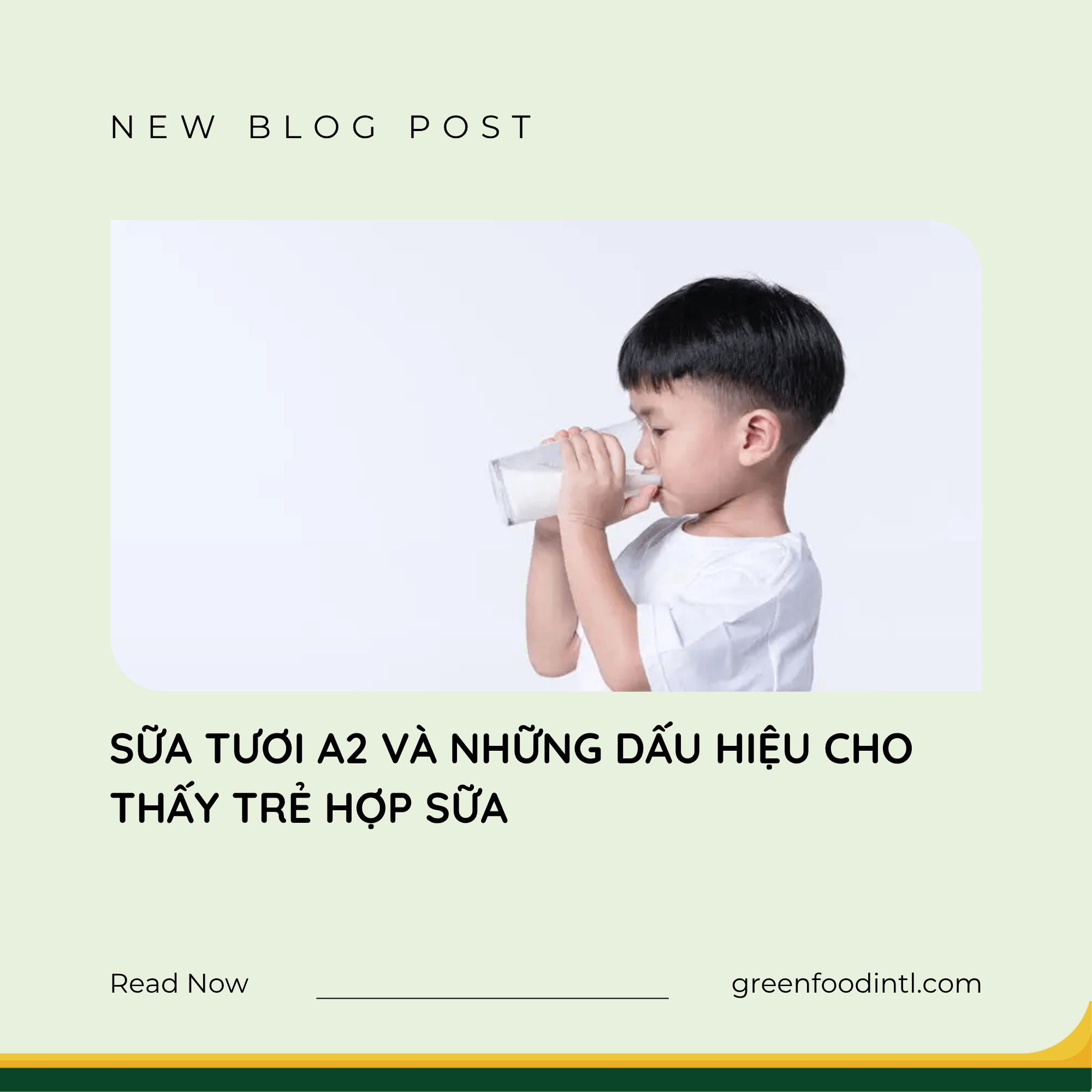 SỮA TƯƠI A2 VÀ NHỮNG DẤU HIỆU CHO THẤY TRẺ HỢP SỮA