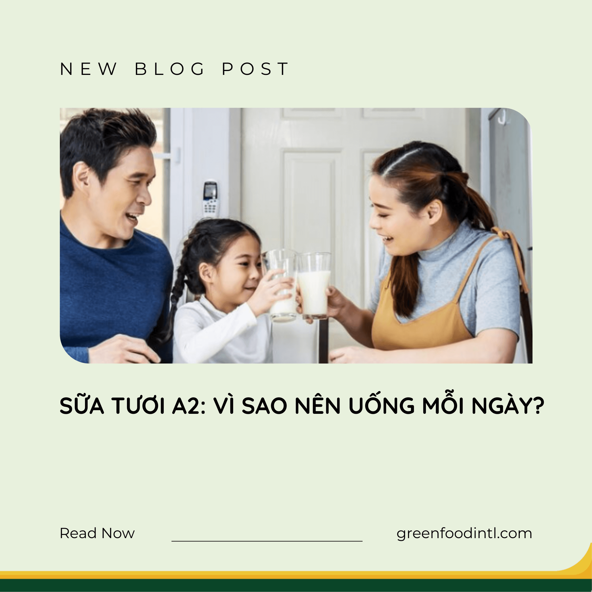 SỮA TƯƠI A2: VÌ SAO NÊN UỐNG MỖI NGÀY?