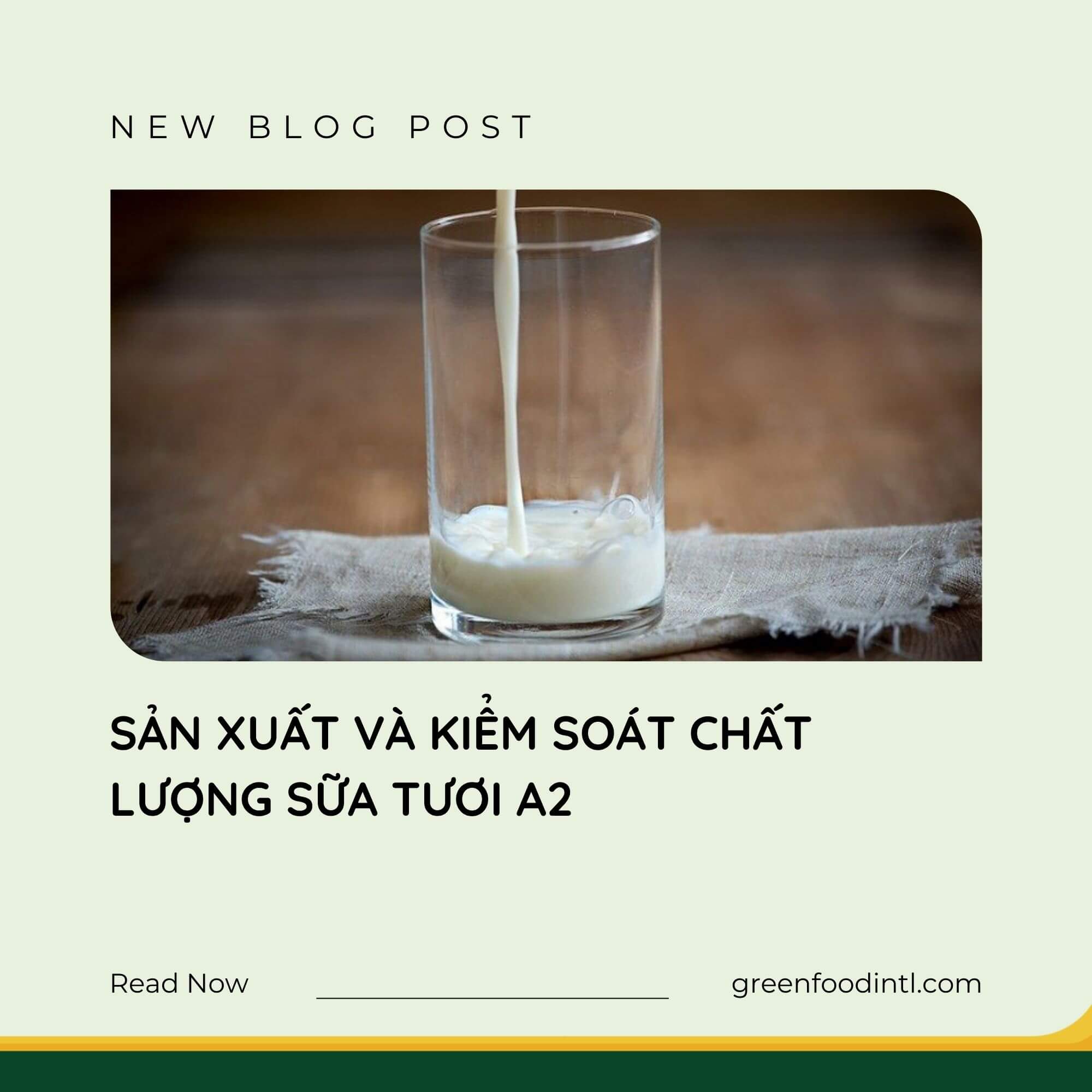 SẢN XUẤT VÀ KIỂM SOÁT CHẤT LƯỢNG SỮA TƯƠI A2