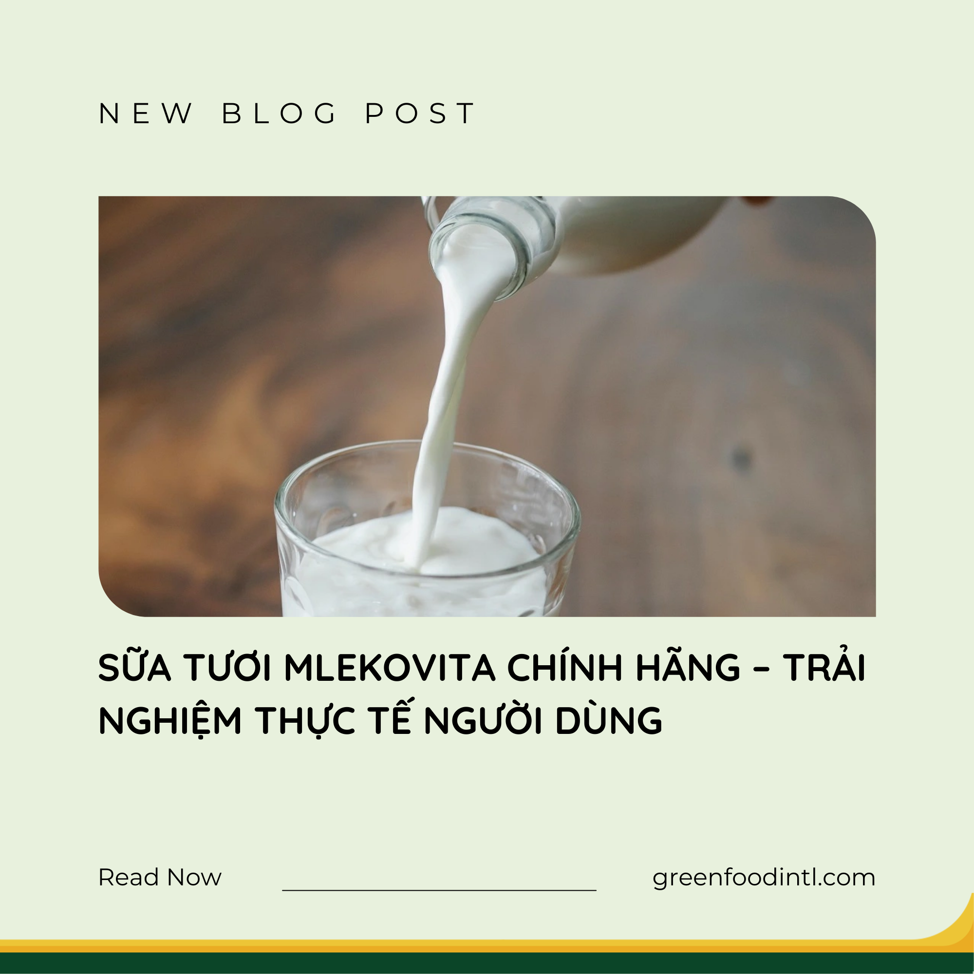 SỮA TƯƠI MLEKOVITA CHÍNH HÃNG – TRẢI NGHIỆM THỰC TẾ NGƯỜI DÙNG