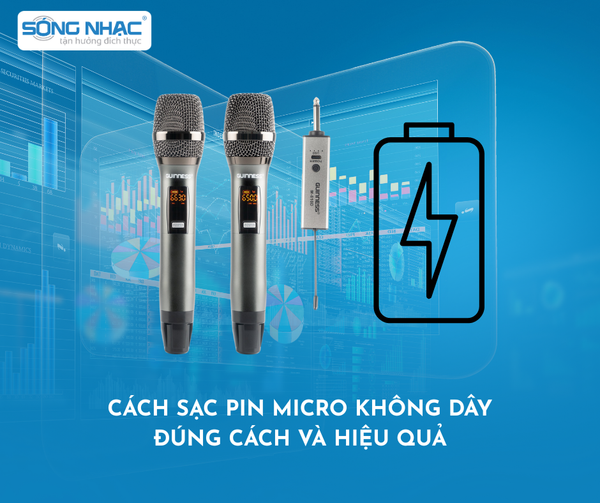Cách Sạc Pin Micro Không Dây Đúng Cách Và Hiệu Quả Nhất – SÓNG NHẠC AUDIO