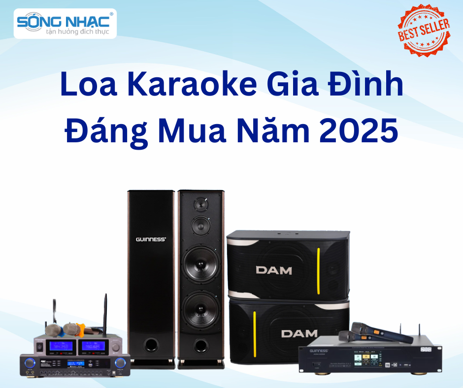 Loa Karaoke Gia Đình Đáng Mua Năm 2025
