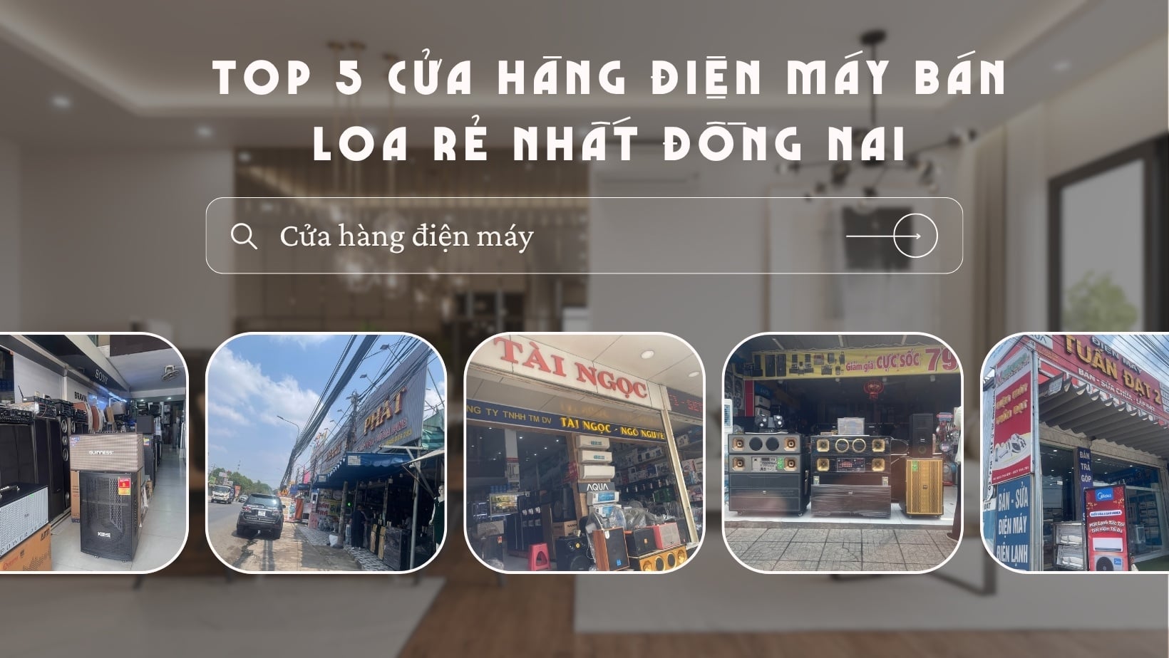 TOP 5 CỬA HÀNG ĐIỆN MÁY BÁN LOA GIÁ RẺ TỈNH ĐỒNG NAI UY TÍN NHẤT