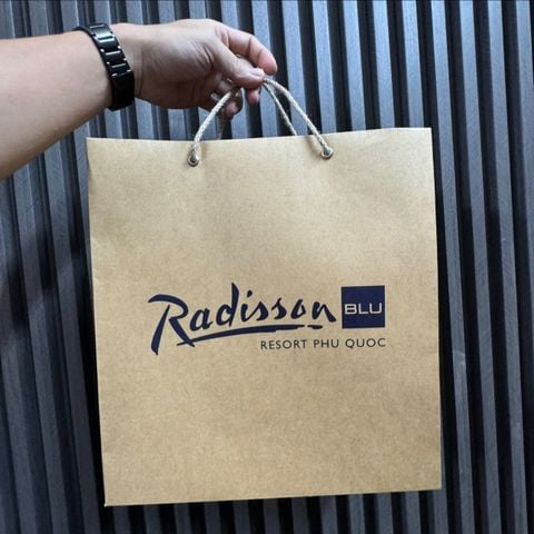 Bảng Giá In Túi Giấy Kraft Tại TP.HCM