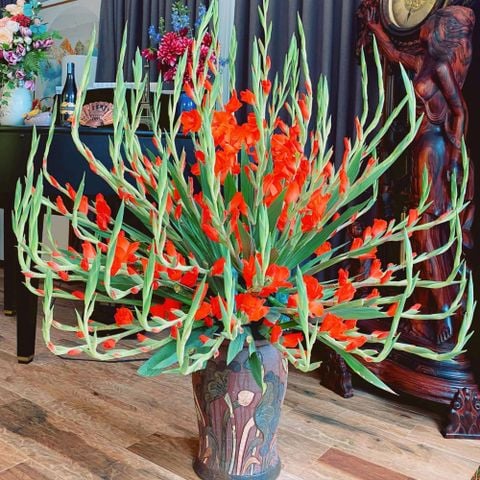 Các Loại Hoa Trưng Tết Mang Ý Nghĩa Đầy May Mắn