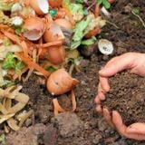 Cách Ủ Rác Nhà Bếp Làm Phân Bón Hữu Cơ Tại Nhà, Không Cần Tốn Tiền Mua Phân