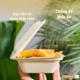 Hộp bã mía đựng cơm loại nào tốt?