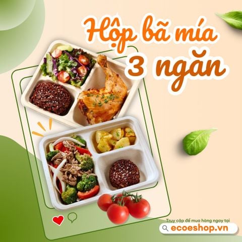 Nên Dùng Hộp Bã Mía Hay Hộp Bọt Biển?