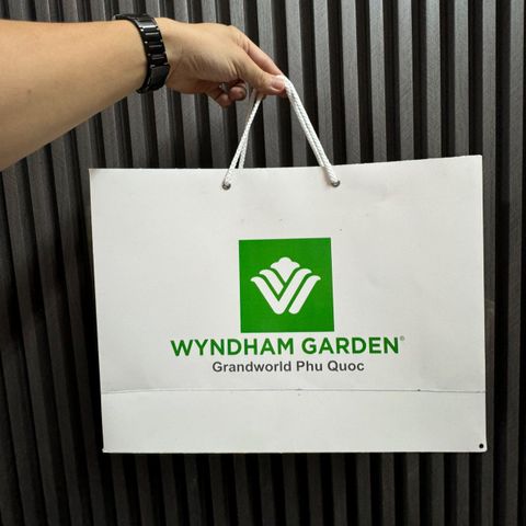 So Sánh Công Nghệ In Flexo Với In Offset: Tối Ưu Chi Phí Cho Bao Bì Giấy Số Lượng Lớn