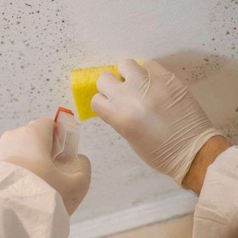 Mẹo Làm Sạch Vết Mỡ Bám Trên Tường Bếp Lâu Ngày Cực Hiệu Quả
