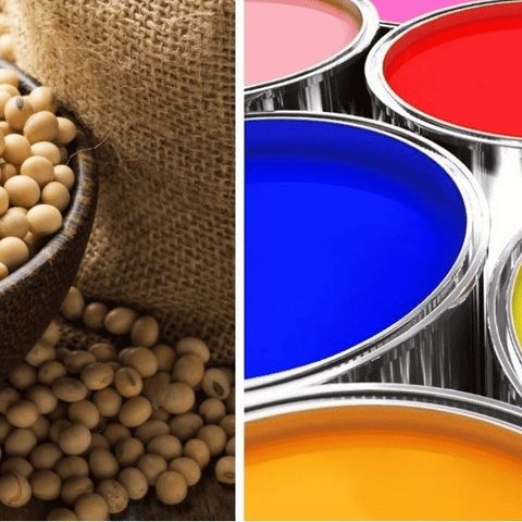 Đánh Giá Ảnh Hưởng Của Mực In Gốc Đậu Nành (Soy Ink) Lên Khả Năng Tái Chế