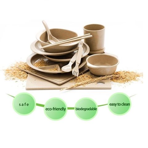 Hộp Đựng Thực Phẩm Làm Từ Vỏ Trấu (Rice Husk) Và Tiềm Năng Tại Việt Nam