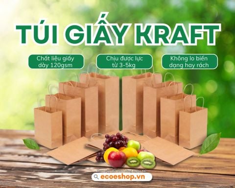 Túi Giấy Kraft Và Túi Giấy Trắng Loại Nào Bền Hơn?