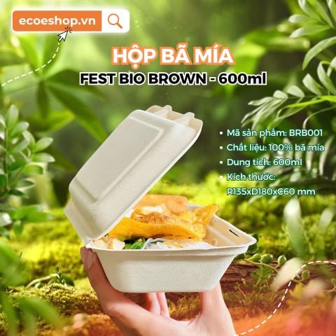 Xưởng Sản Xuất Hộp Bã Mía Giá Gốc Uy Tín Chất Lượng