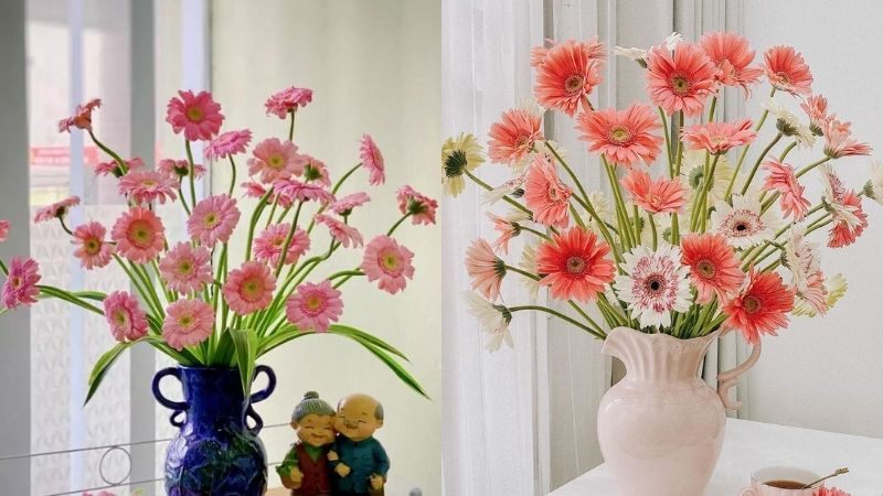 Mẹo Giữ Hoa Tết Tươi Lâu: Bí Kíp Để Sắc Xuân Luôn Rạng Rỡ Trong Nhà