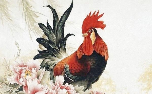 Tử Vi Tuổi Dậu Năm 2026: Tỉ Mỉ Trong Hành Động, Gặt Hái Thành Công Bền Vững