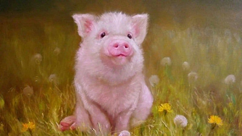 Chọn Tuổi Xông Đất 2026 Cho Gia Chủ Tuổi Hợi: Rước Tài Lộc, Vạn Sự Như Ý