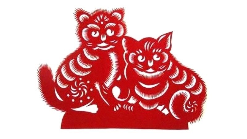 Tử Vi Tuổi Mão Năm 2026: Giữ Vững Tâm Thế, Xoay Chuyển Thời Cơ