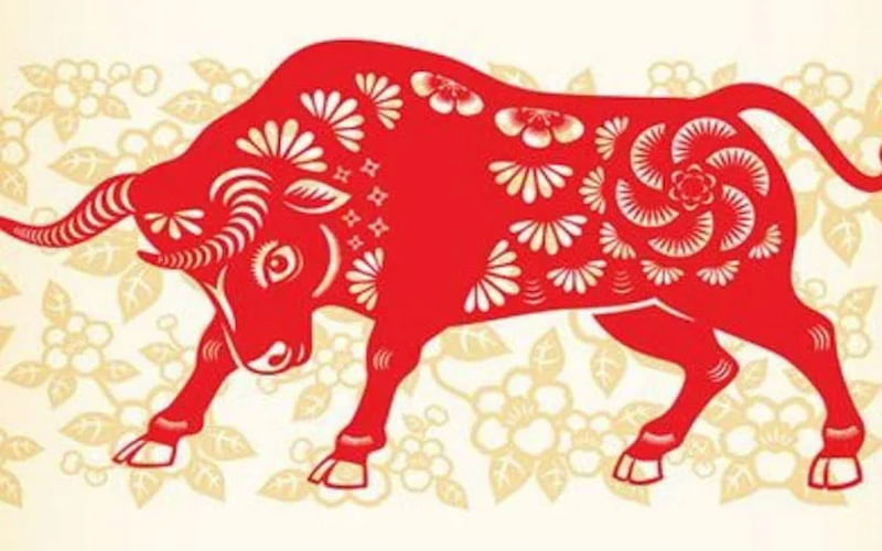 Tử Vi Tuổi Sửu Năm 2026: Vượt Qua Thử Thách, Khẳng Định Bản Lĩnh