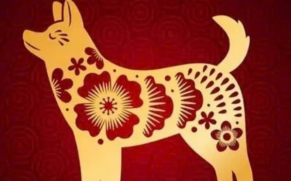 Chọn Tuổi Xông Đất 2026 Cho Gia Chủ Tuổi Tuất: Rước Tài Lộc, Cầu Bình An