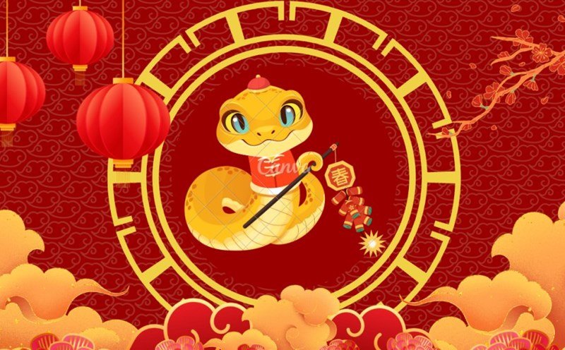 Tử Vi Tuổi Tỵ Năm 2026: Năng Lượng Đồng Hành, Bứt Phá Vươn Xa