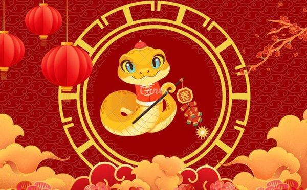Tử Vi Tuổi Tỵ Năm 2026: Năng Lượng Đồng Hành, Bứt Phá Vươn Xa