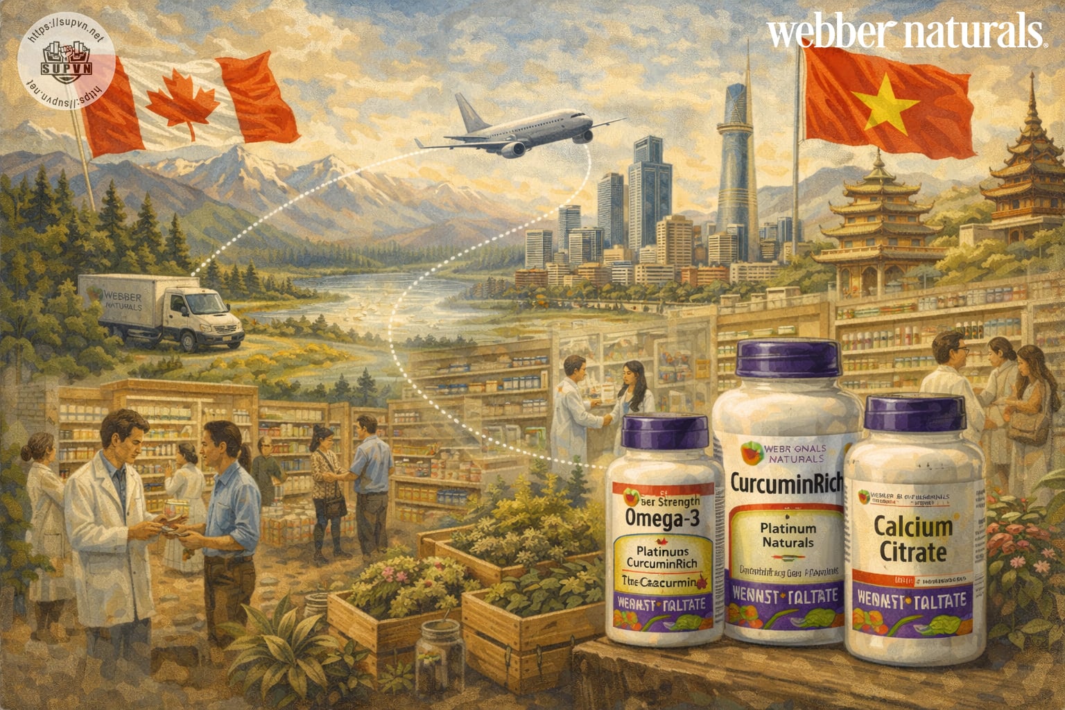 webber-naturals-viet-nam-supvn-maple-care